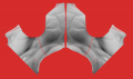 Thumbnail for version as of 14:24, 20 June 2021